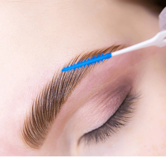 Beginners Brow Lamination Course Editable Training Manual