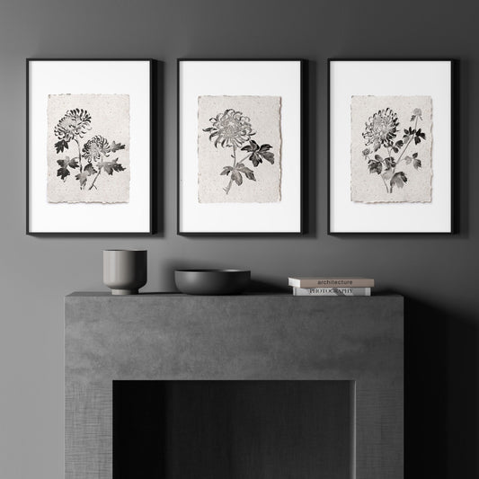 Beige Canvas French Country Botanical Chrysanthemum Wall Art Prints | Set of 3