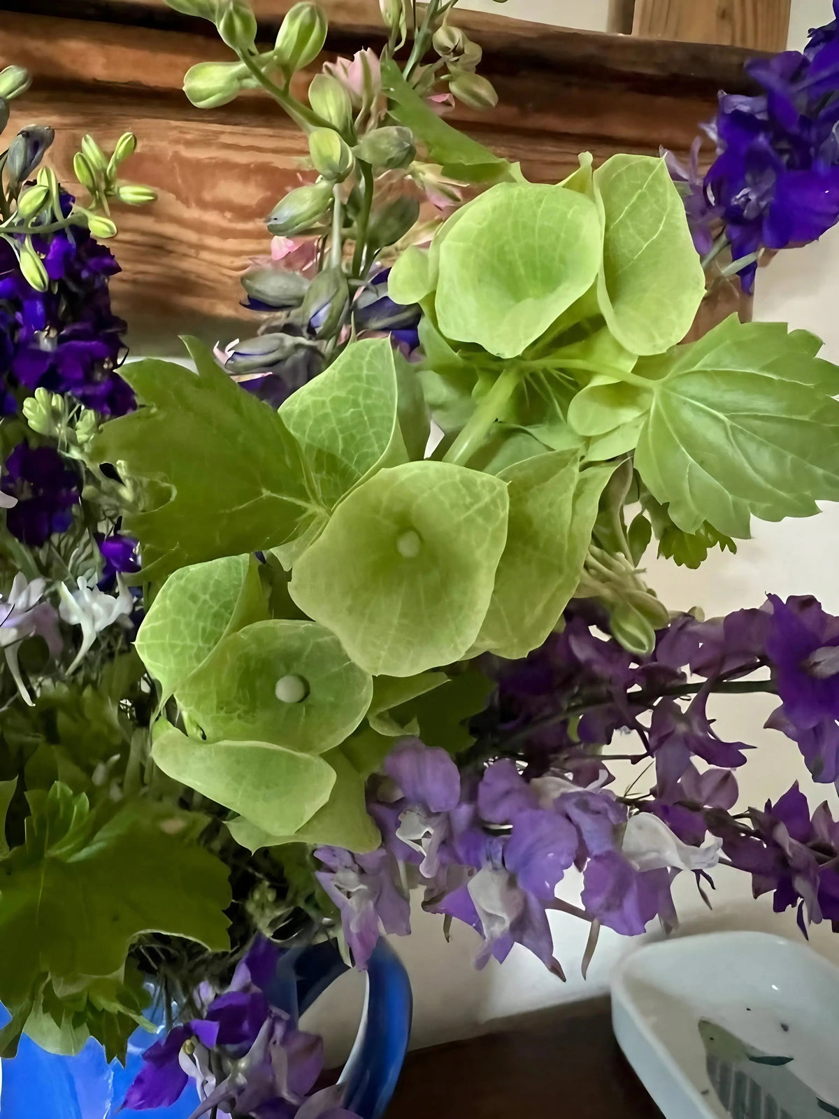 Bells of Ireland