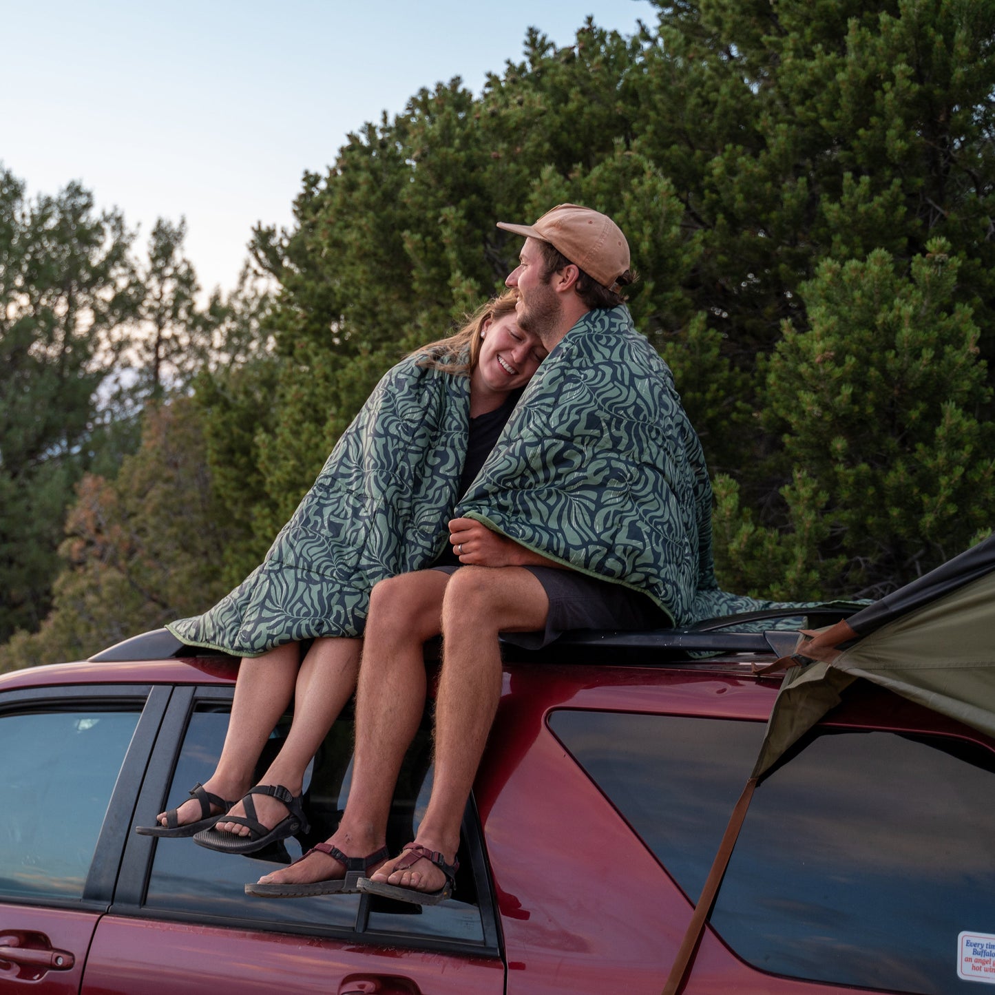 Kelty Biggie Blanket in Fern