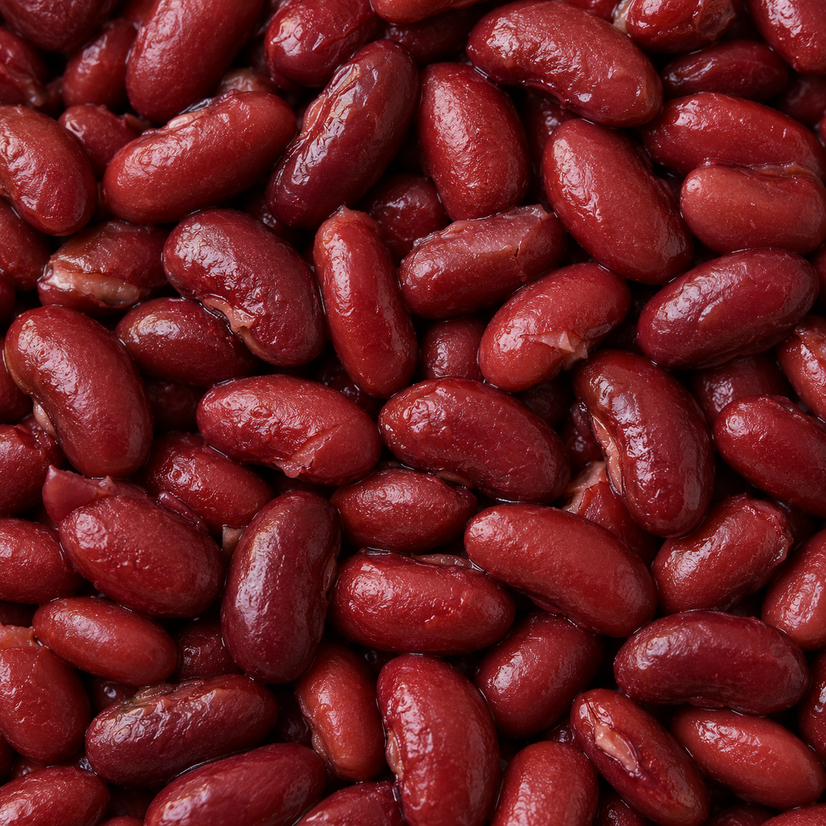 Biona Organic Kidney Beans no added salt