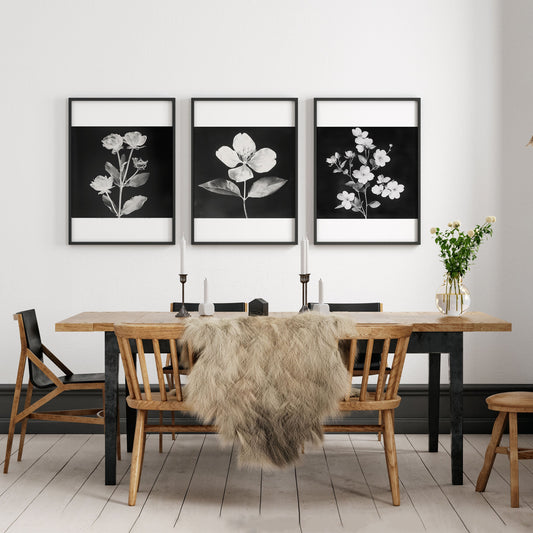 Black Framed Wall Art French Country Botanical Floral Prints | Set of 3