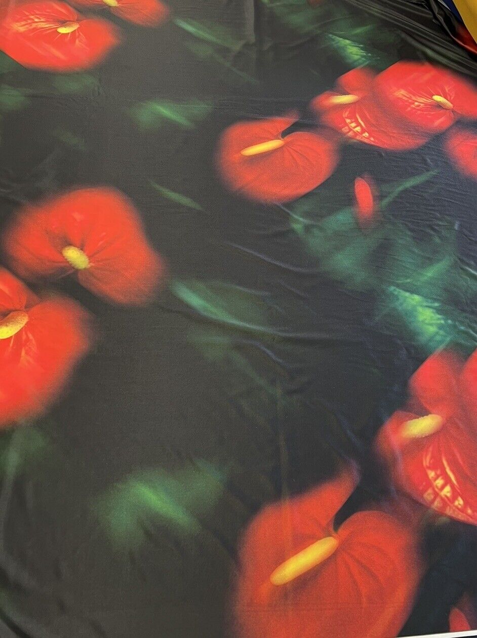 Black Red Flower Print Soft Touch Stretch Fabric