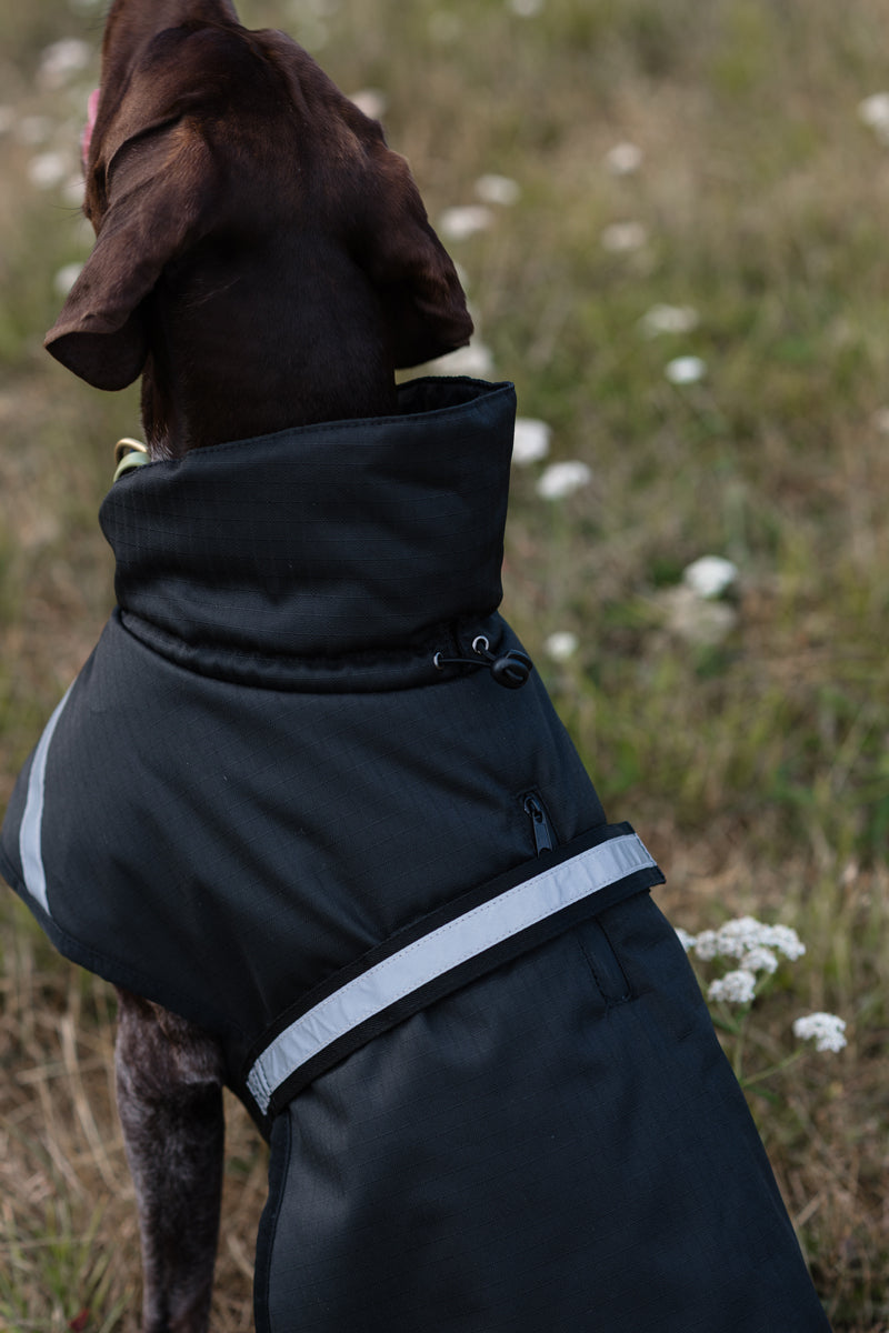 Luxe Waterproof Dog Coat 0g - Black