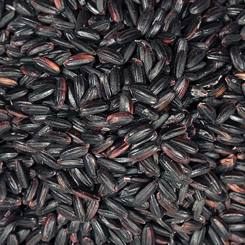 Organic Black Rice