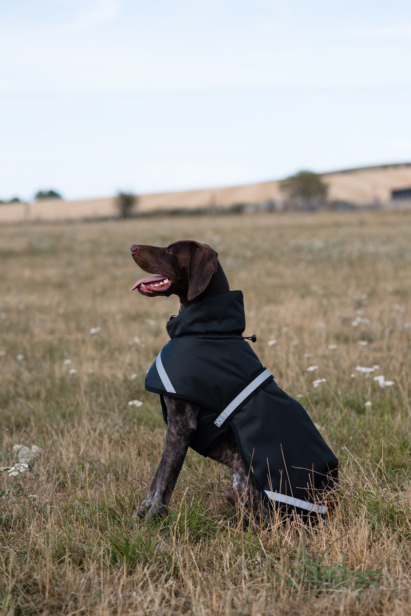 Luxe Waterproof Dog Coat 0g - Black