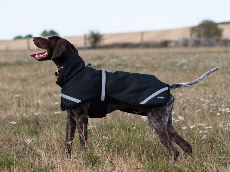 Luxe Waterproof Dog Coat 0g - Black