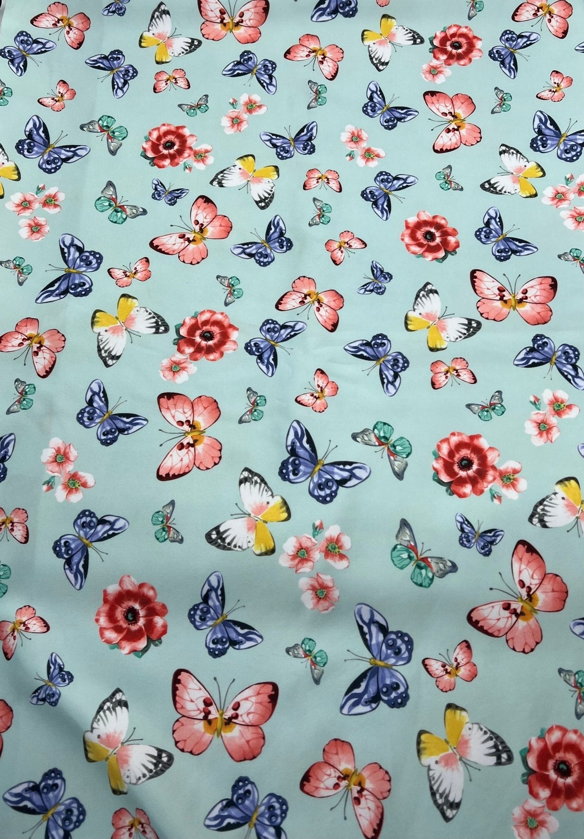 Blue Butterfly Print Plain Scuba Fabric