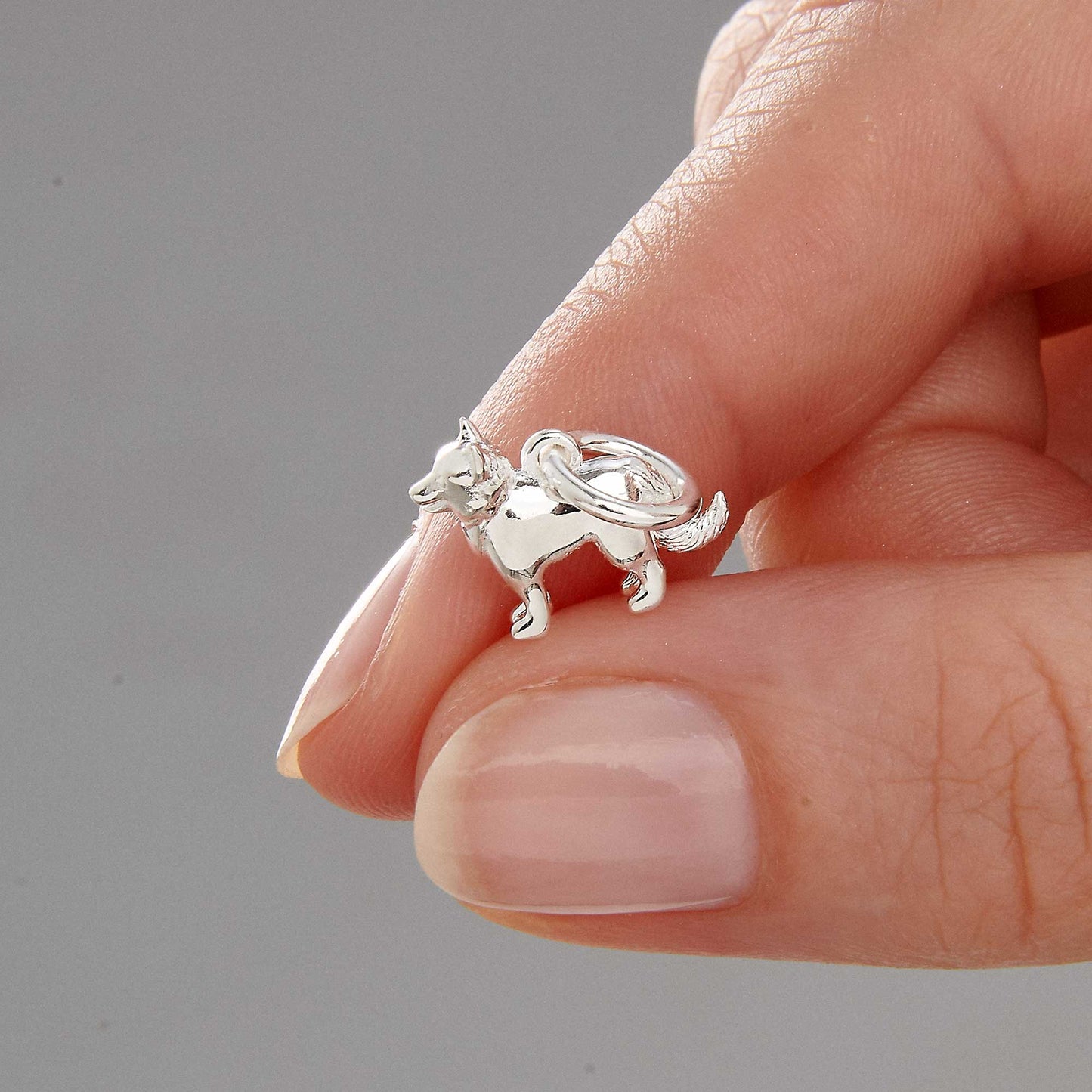 Border Collie Silver Dog Charm