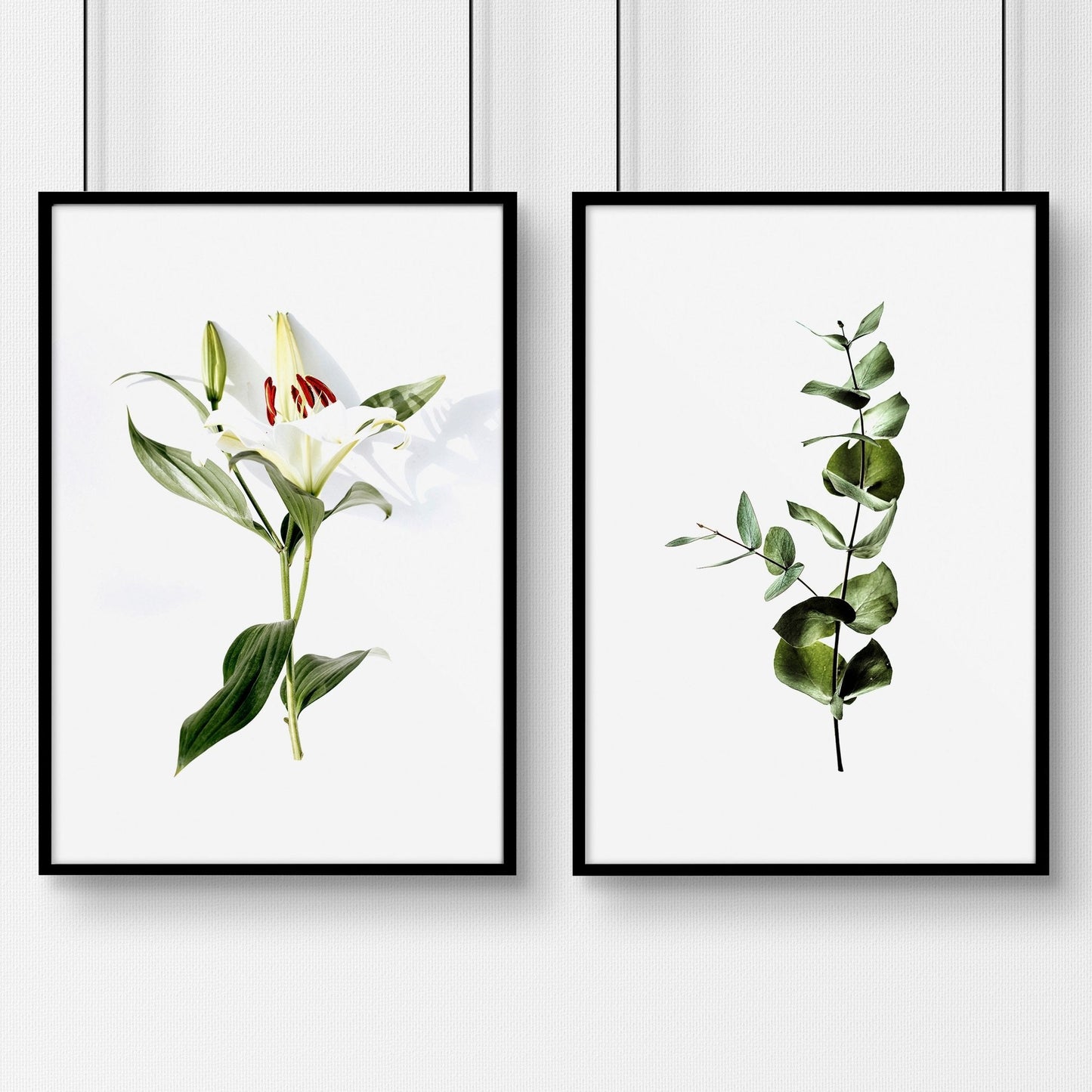 Wall prints for living room | Set of 2 Botanical wall art