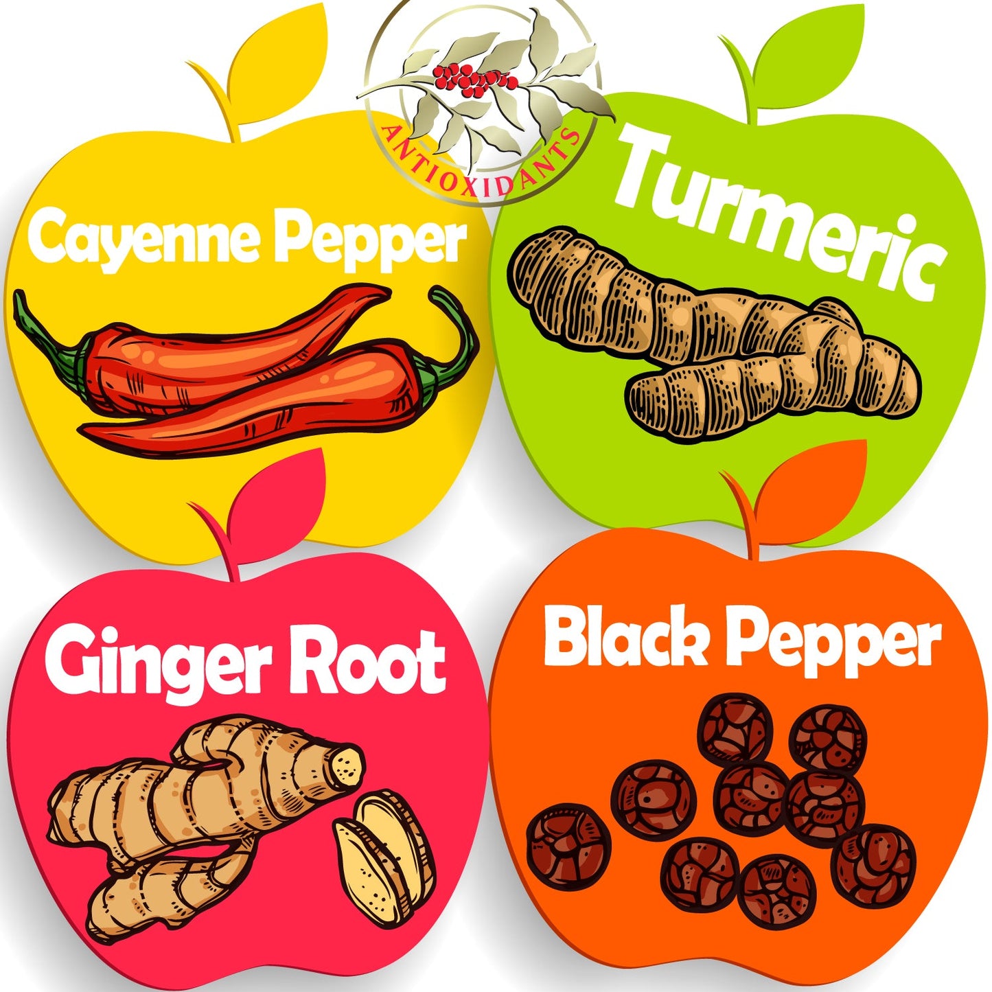Apple Cider Vinegar with the Mother, Superfood, Biocultures & Berries Complex