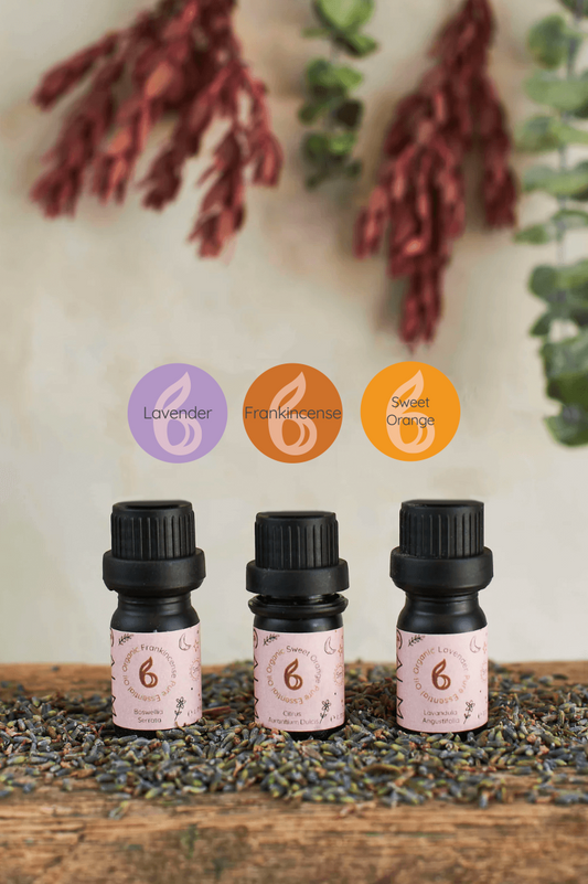 Breathe Calm Essential Oil Set
