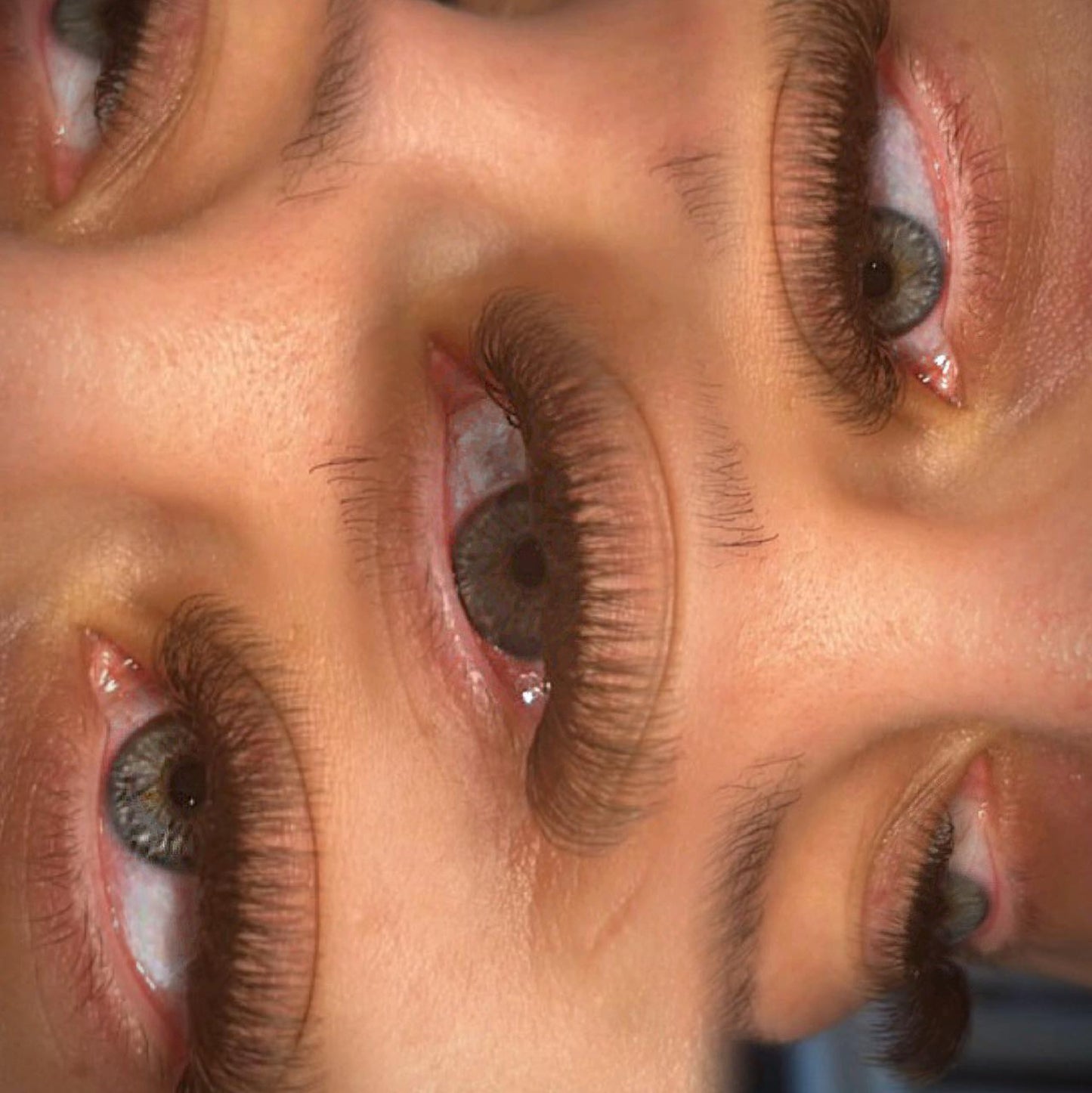 Brown 4D Clover Lashes – 16 Row Single Length Trays