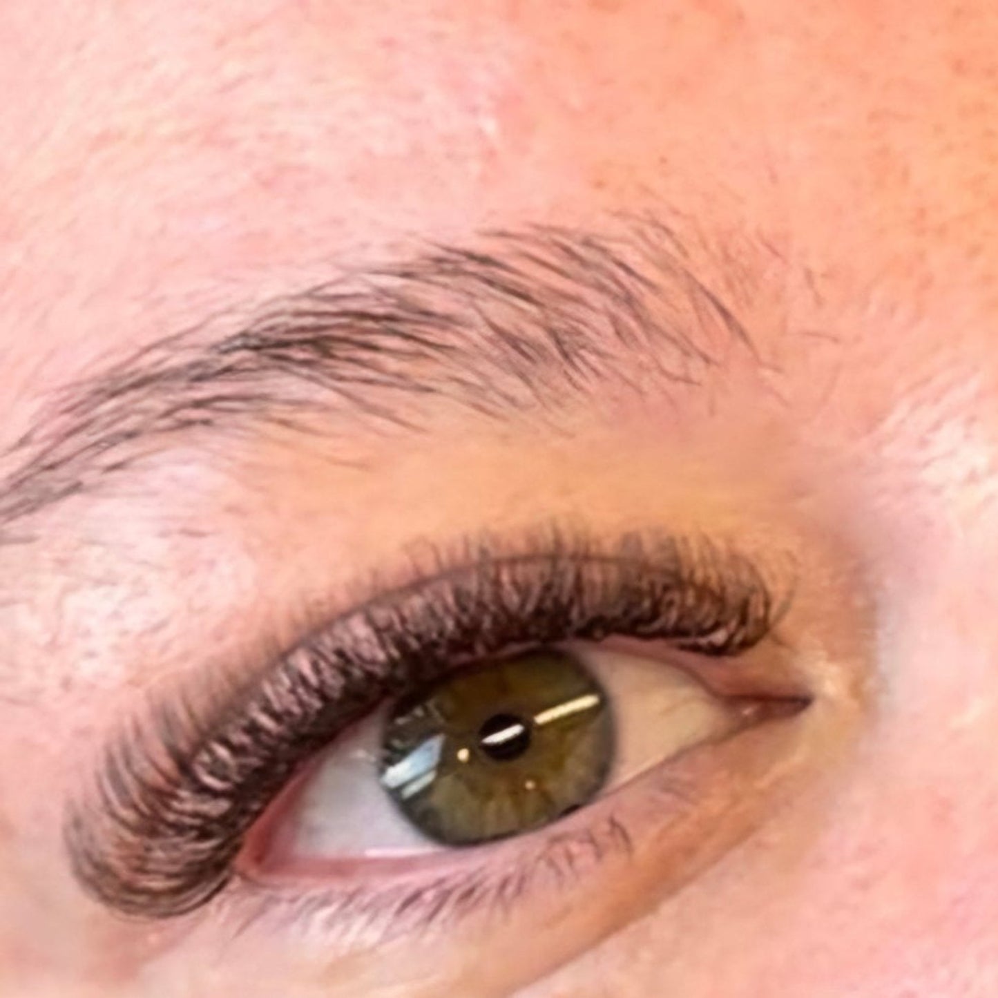 Brown 4D Clover Lashes – 16 Row Single Length Trays