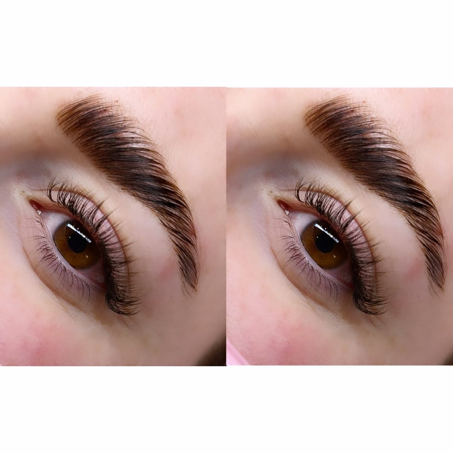 Brown Cashmere Flat Classic Lashes – Mixed Tray