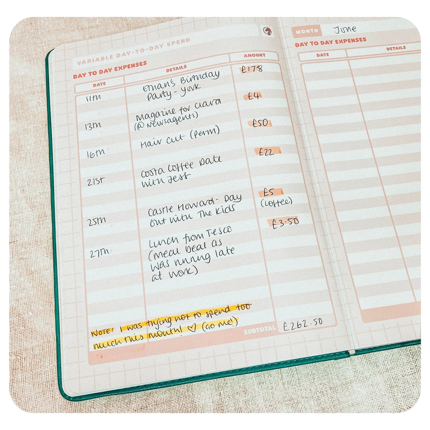 Budget - Deluxe Life Journal