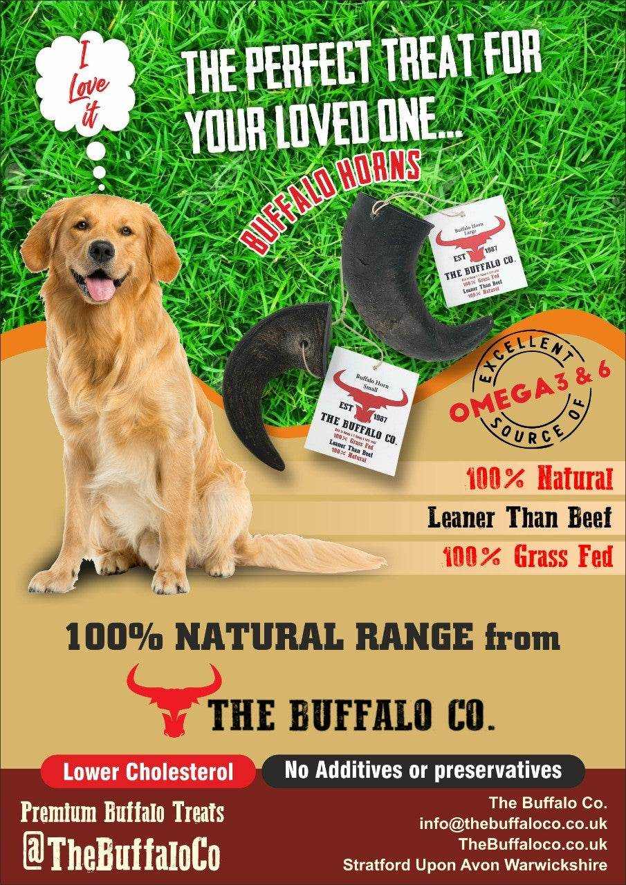 Buffalo Horn-Small (4-5 Inch)-Dog Treats