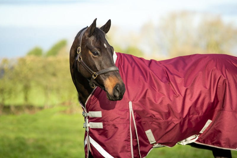 100g Detachable Neck Turnout Rug - Burgundy