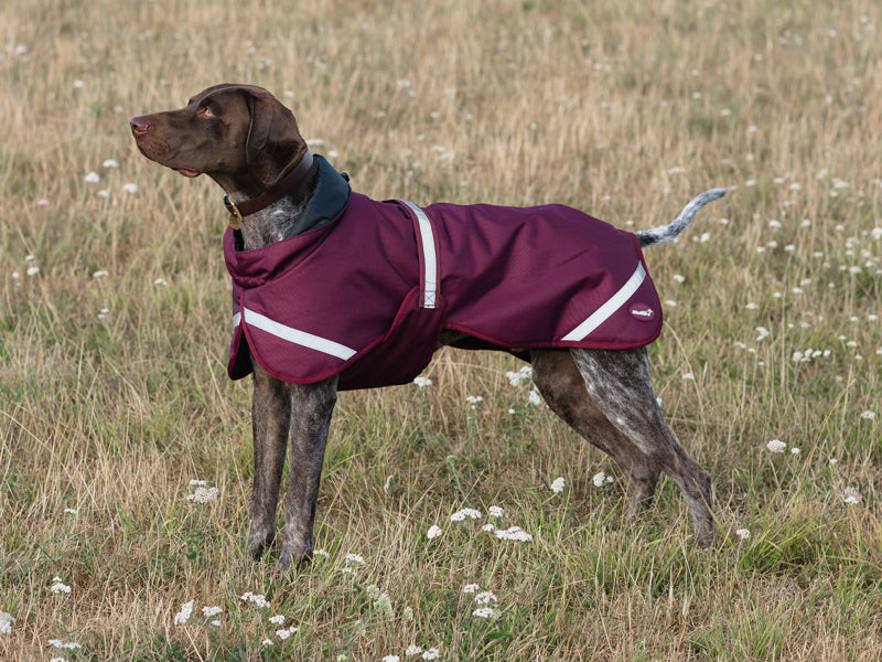 Luxe Waterproof Dog Coat 250g - Burgundy