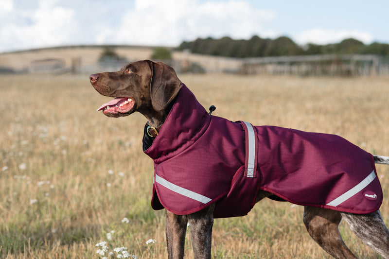 Luxe Waterproof Dog Coat 250g - Burgundy
