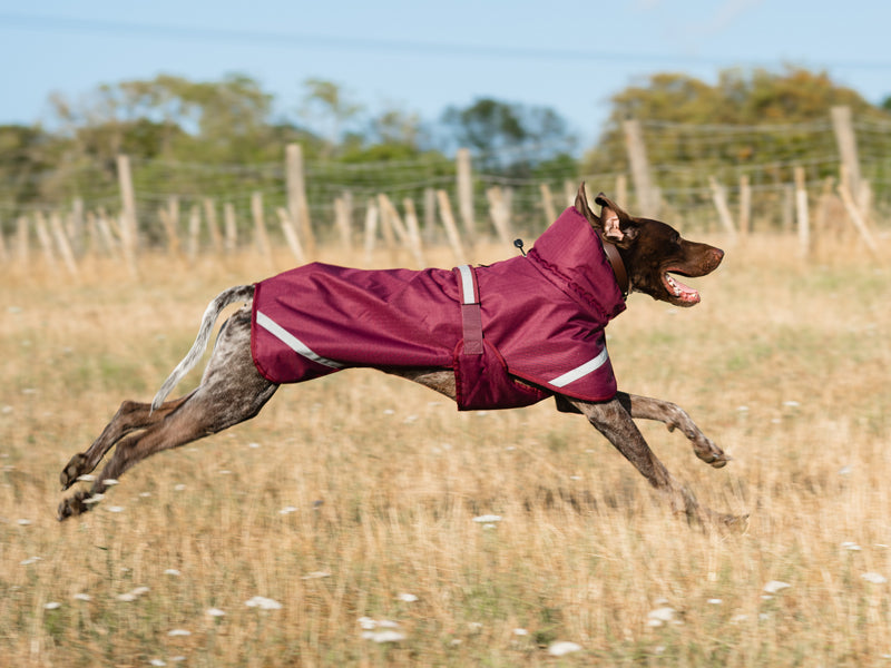 Luxe Waterproof Dog Coat 250g - Burgundy