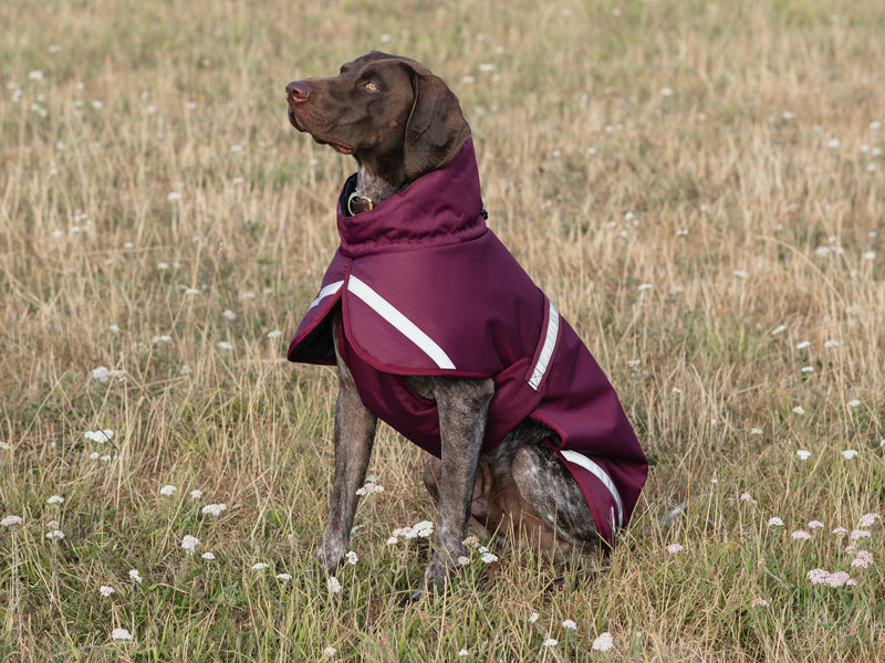 Luxe Waterproof Dog Coat 250g - Burgundy