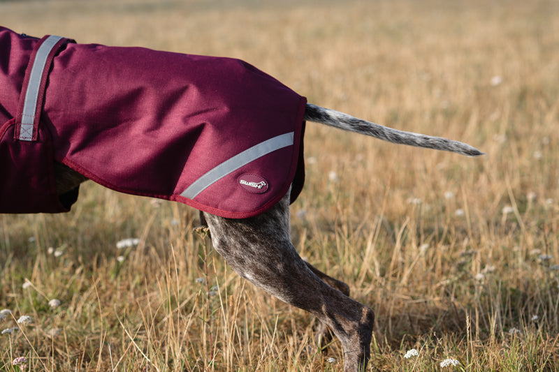 Luxe Waterproof Dog Coat 250g - Burgundy