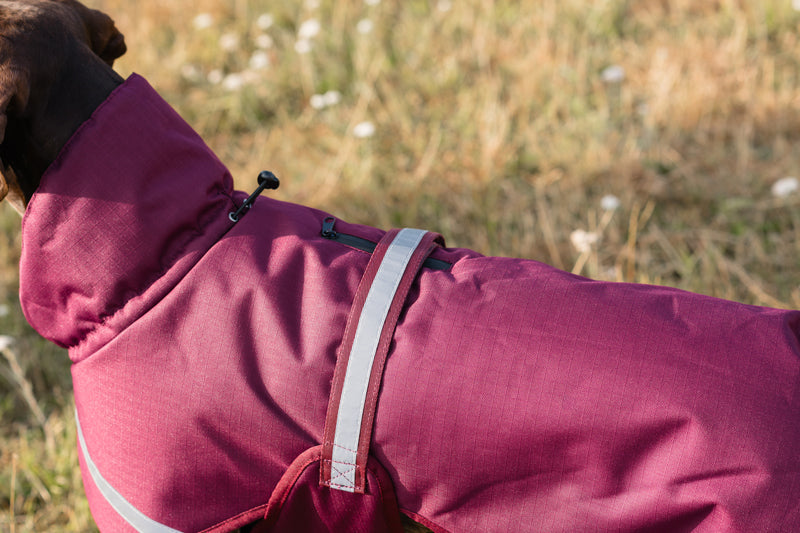 Luxe Waterproof Dog Coat 250g - Burgundy