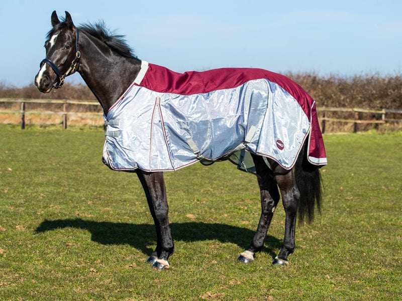 Fly Turnout Combination Rug -burgundy