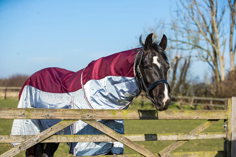 Fly Turnout Combination Rug -burgundy