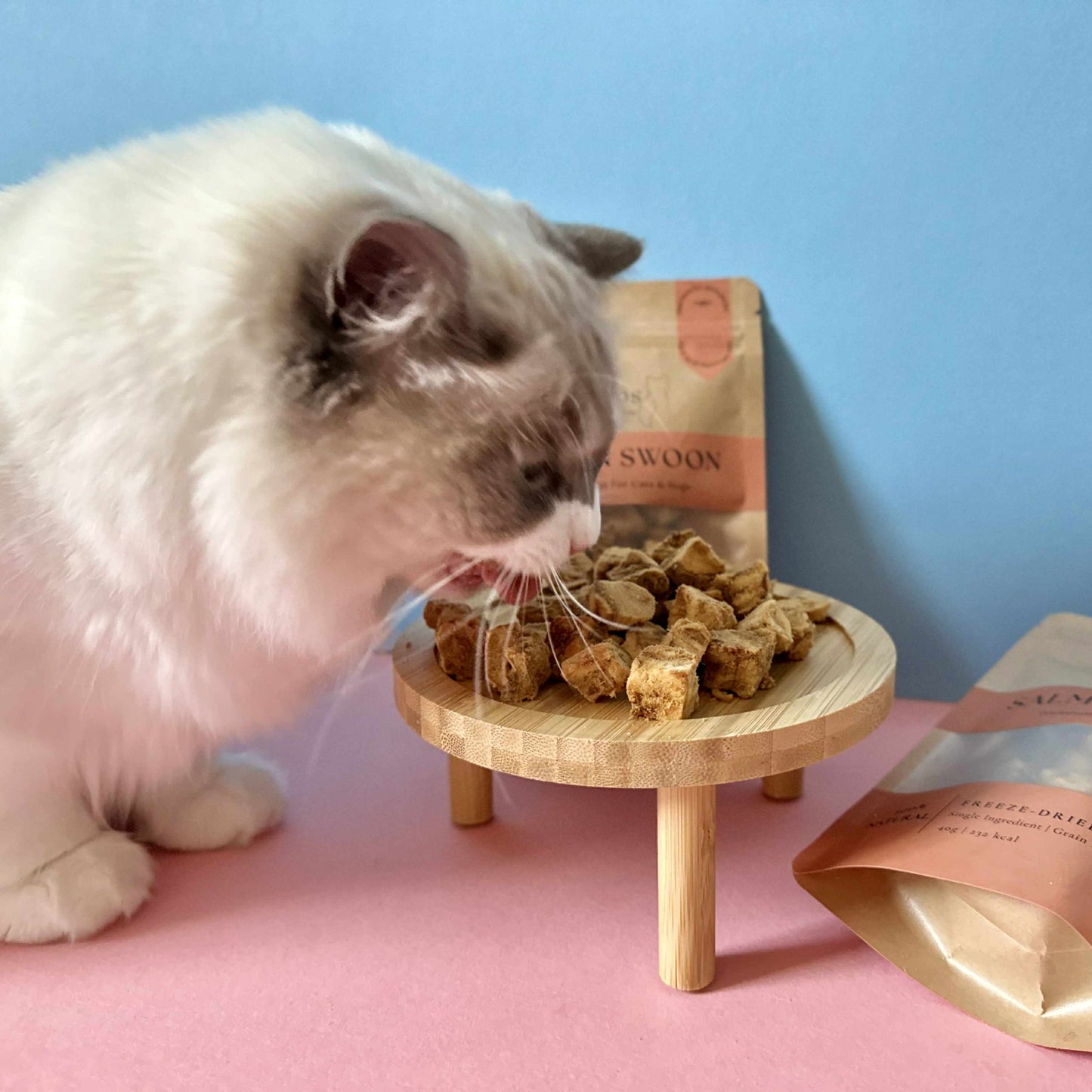 Salmon Swoon - 100% Freeze-Dried Salmon Treats | Pure & Natural | Tail Tips UK | 50g pack