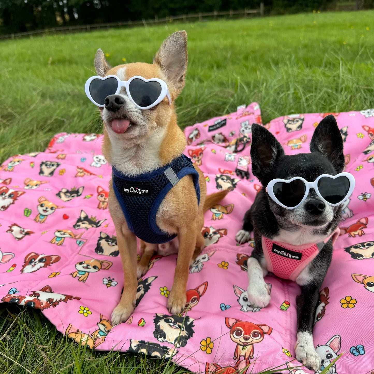 Tiny Trails Step In Air Mesh Puppy and Small Dog Harness Navy