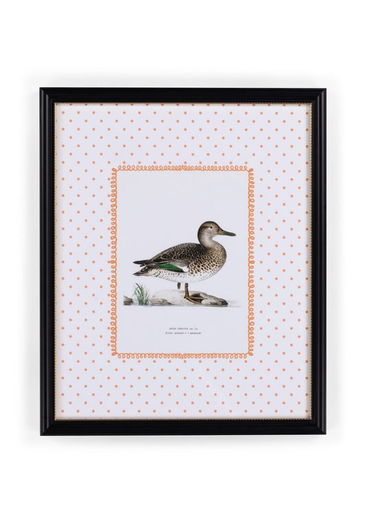 Duck II Framed Print - Utterly Adorable Wall Art