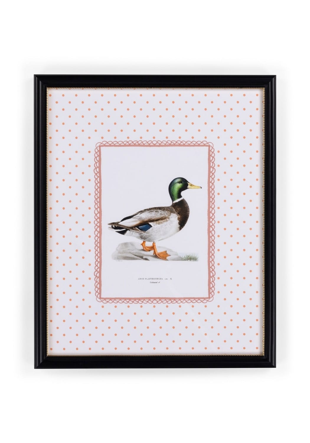 Feather and Grace Duck Print III