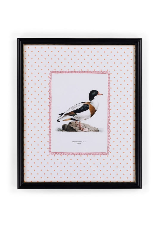Duck IV Framed Print- The Prettiest By Far