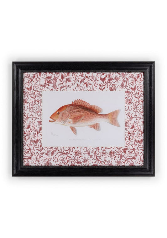 Fish Study I  Vintage Character for Every Corner