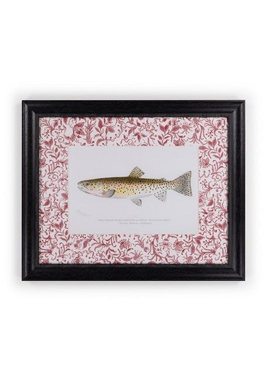 Fish II Framed Print- A Quiet Classic with Personality