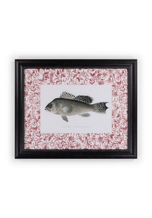 Fish III Framed Print Noble Vintage for the English Home