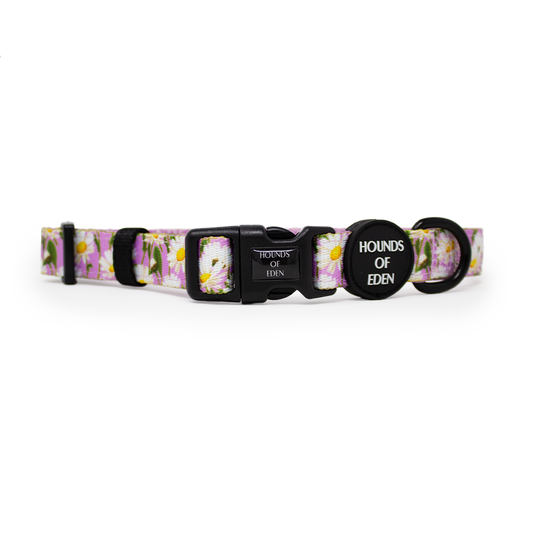Daisy Dreams Design Dog Collar