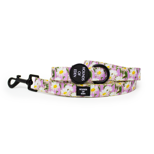 Daisy Dreams Design Dog Lead