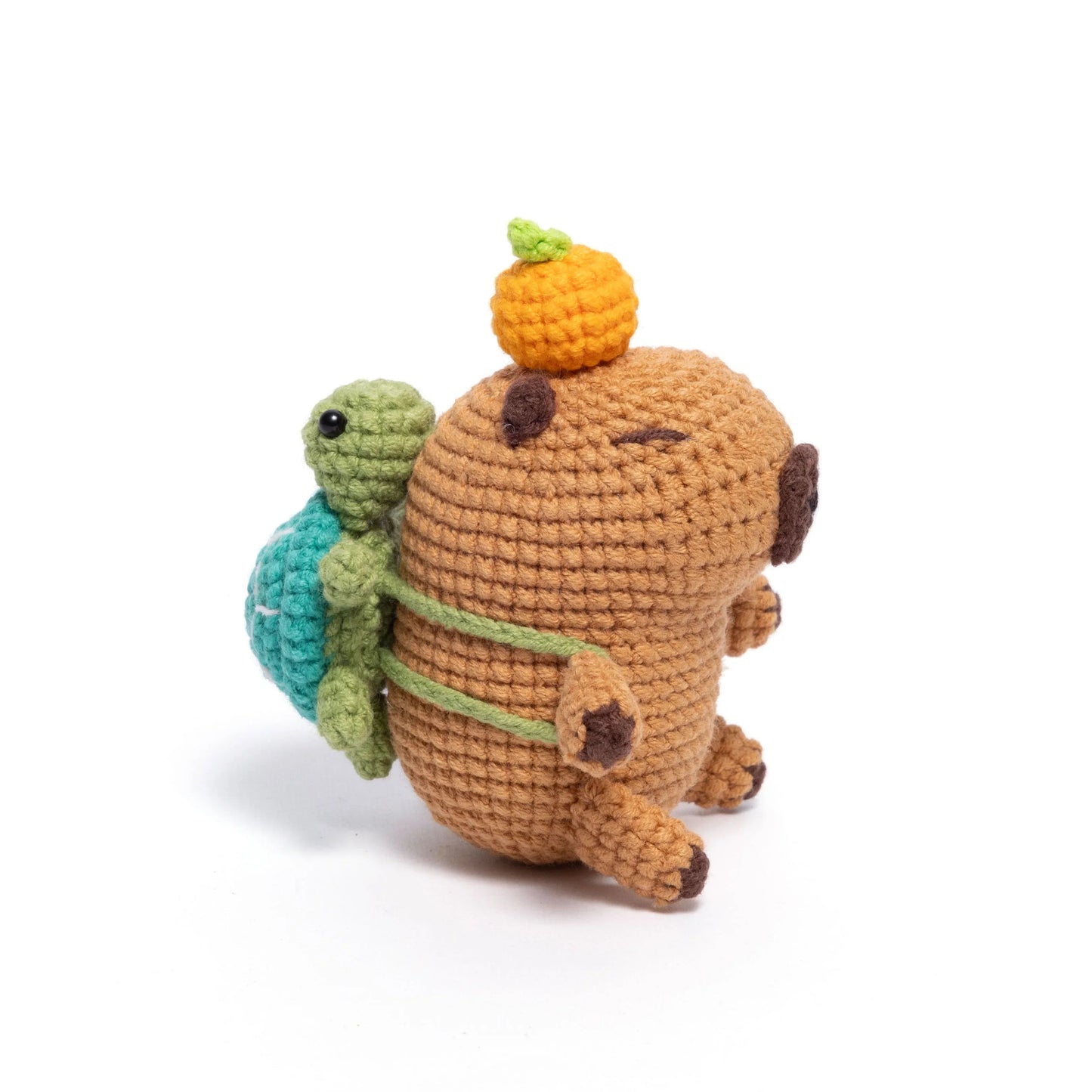 Capybara with green turtle