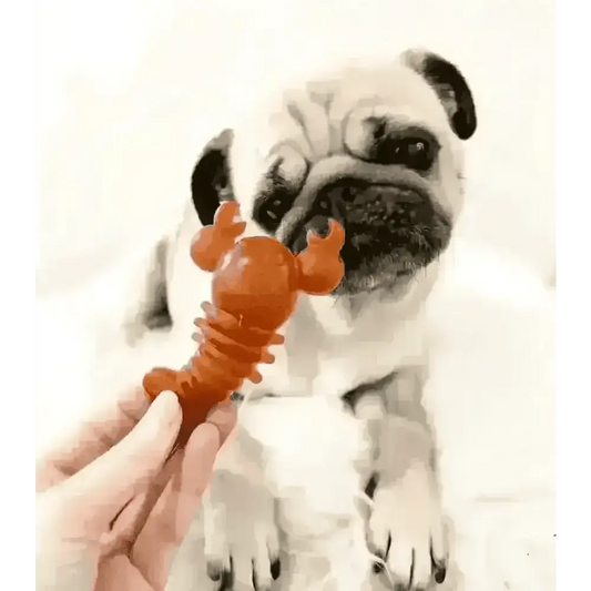 Carrot & Pumpkin Lobster Chew For Dogs