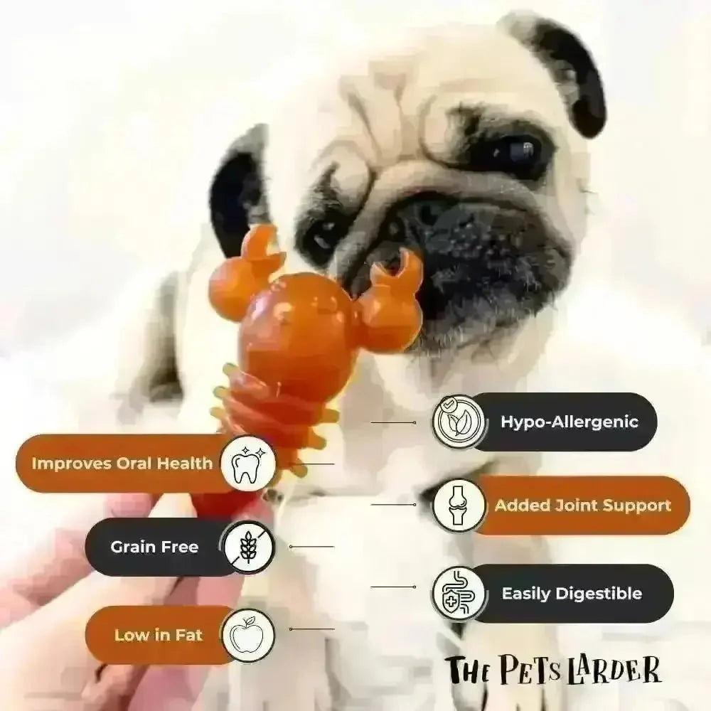 Carrot & Pumpkin Lobster Chew For Dogs