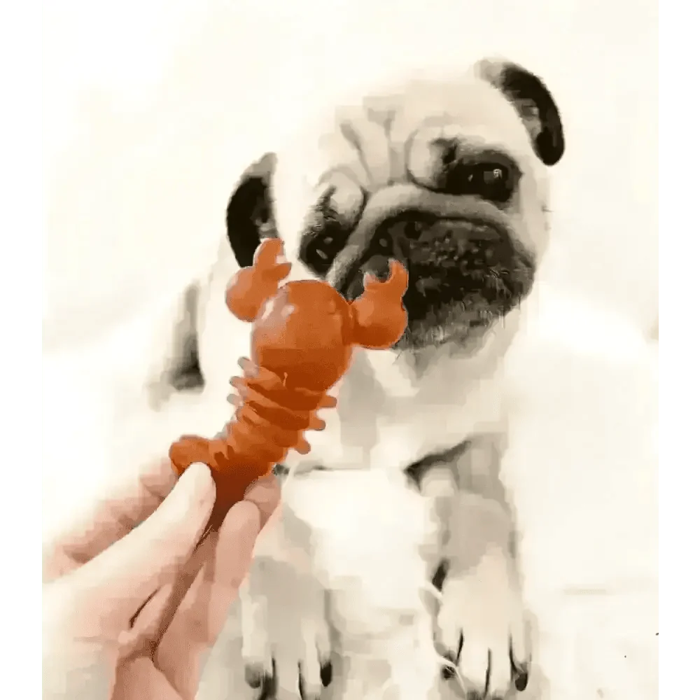 Carrot & Pumpkin Lobster Chew For Dogs