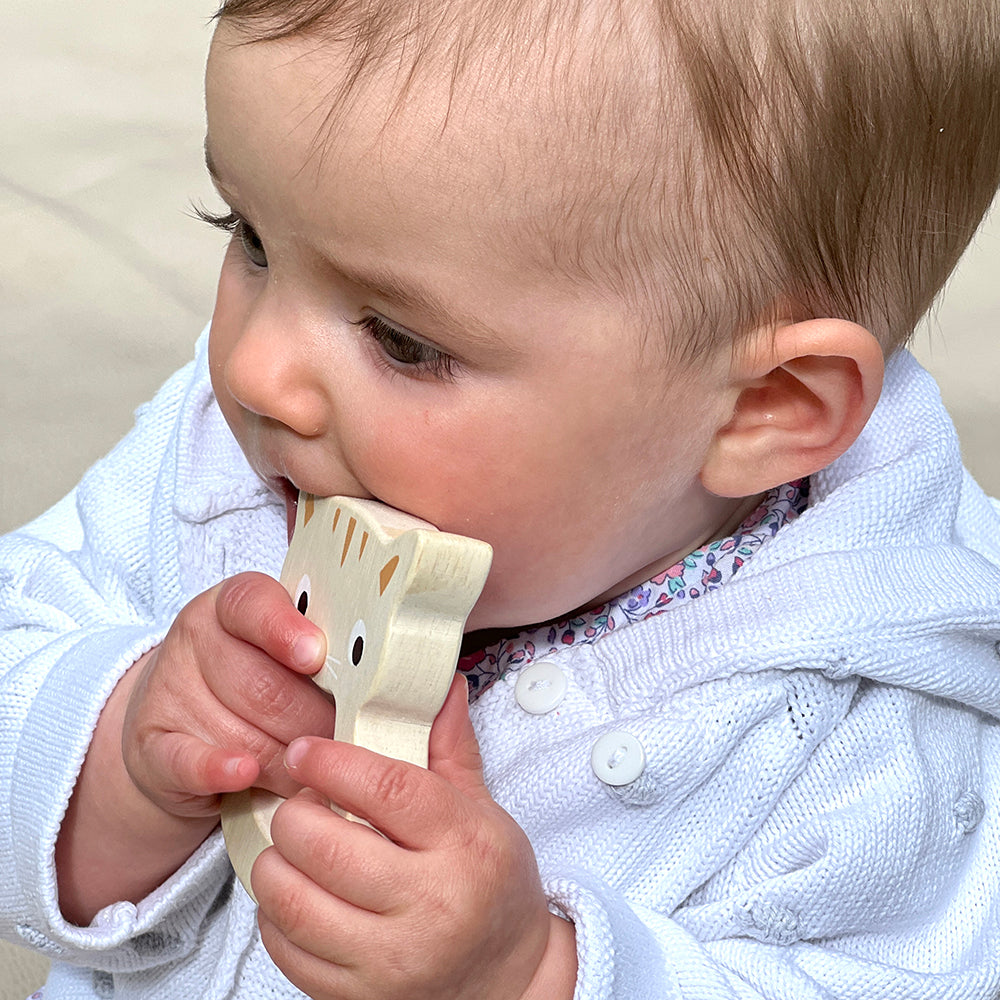 Bird & Kitten Teethers