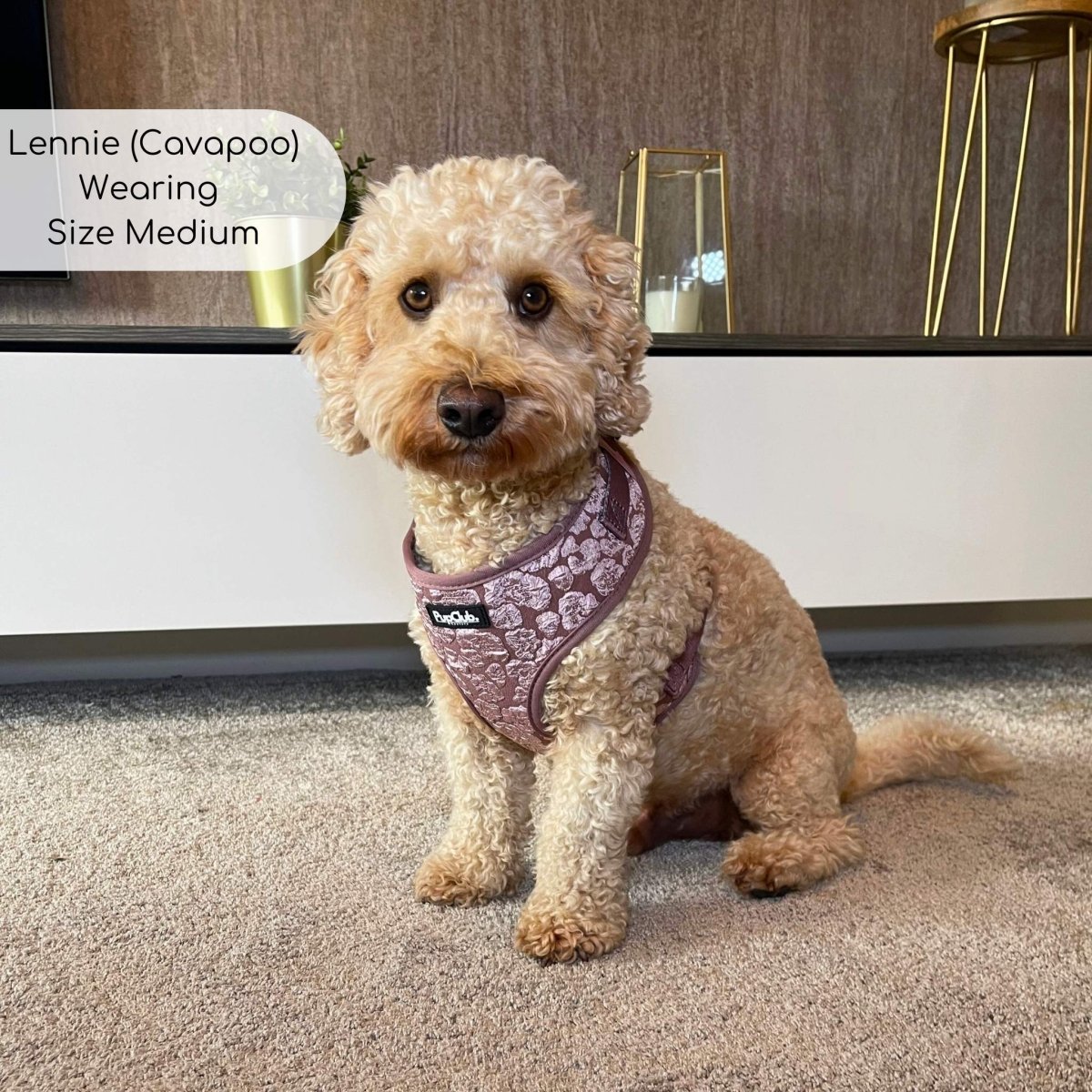 Luxe Adjustable Harness - Mocha Petals