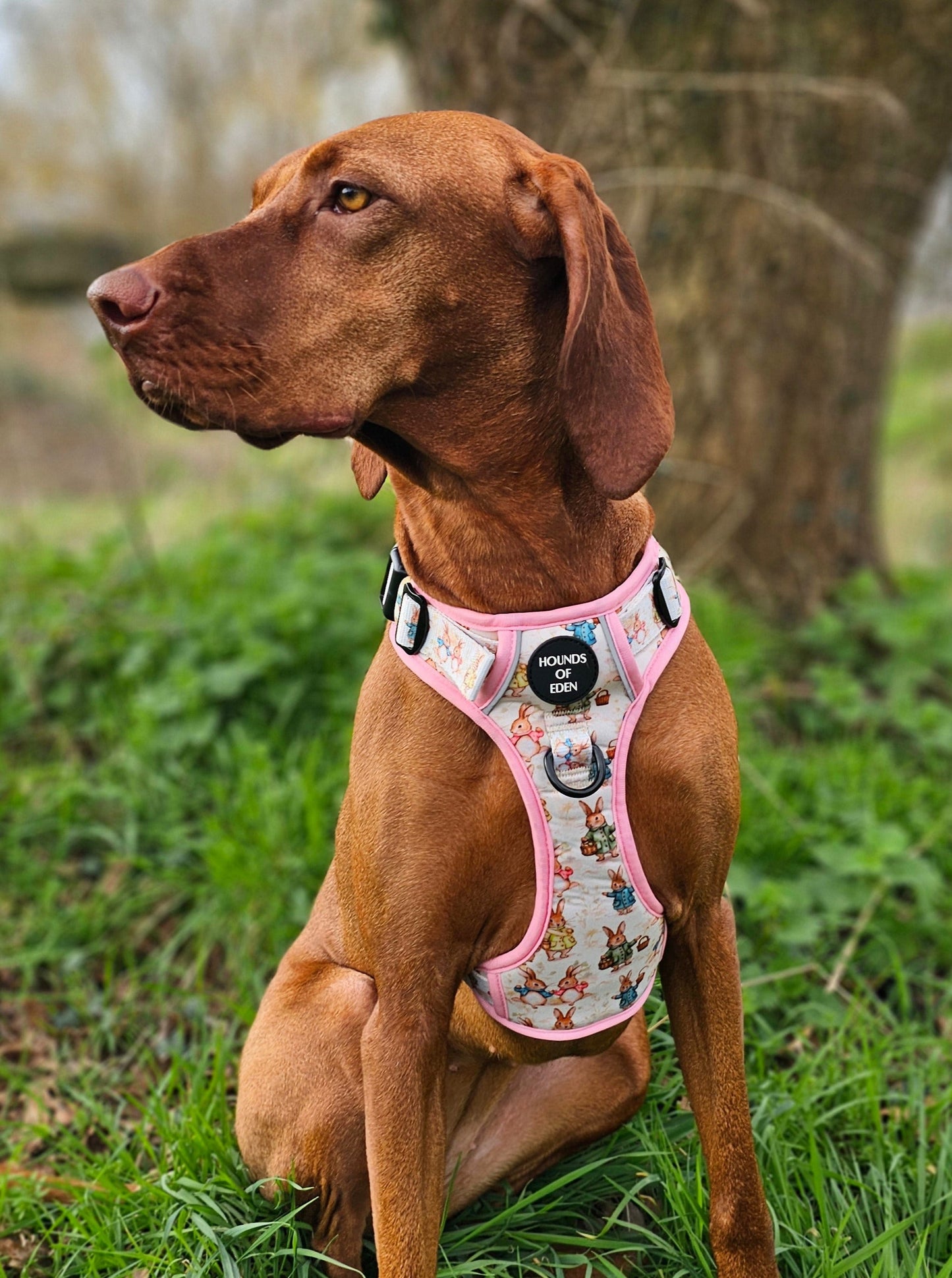 Bunny Tales - Pink, Dog Supaw Strong™ Lite Harness (XS-XL)