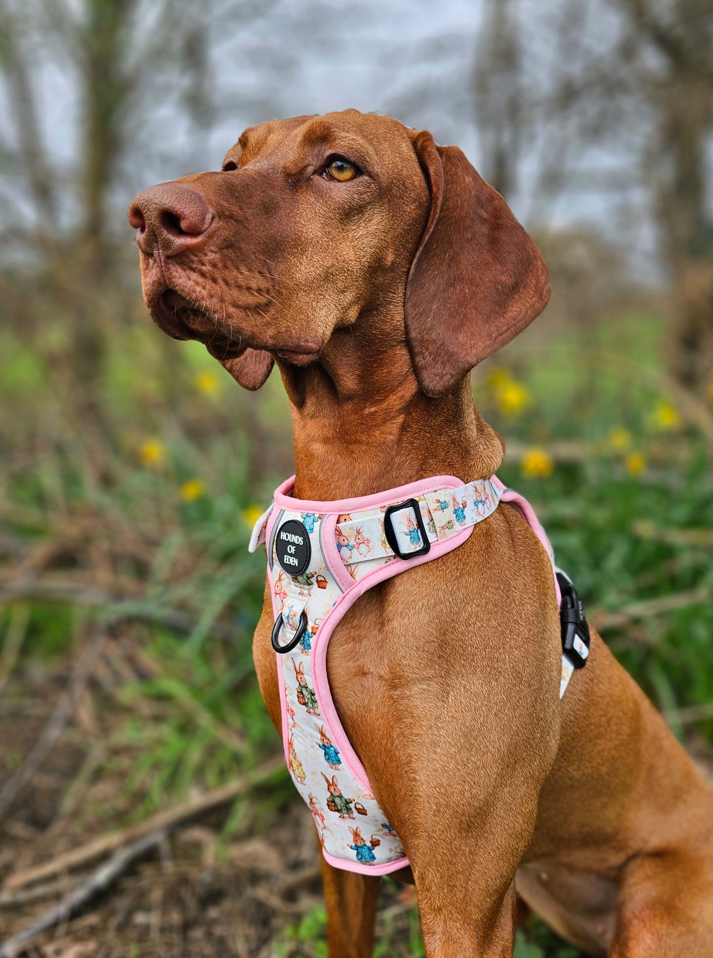 Bunny Tales - Pink, Dog Supaw Strong™ Lite Harness (XS-XL)