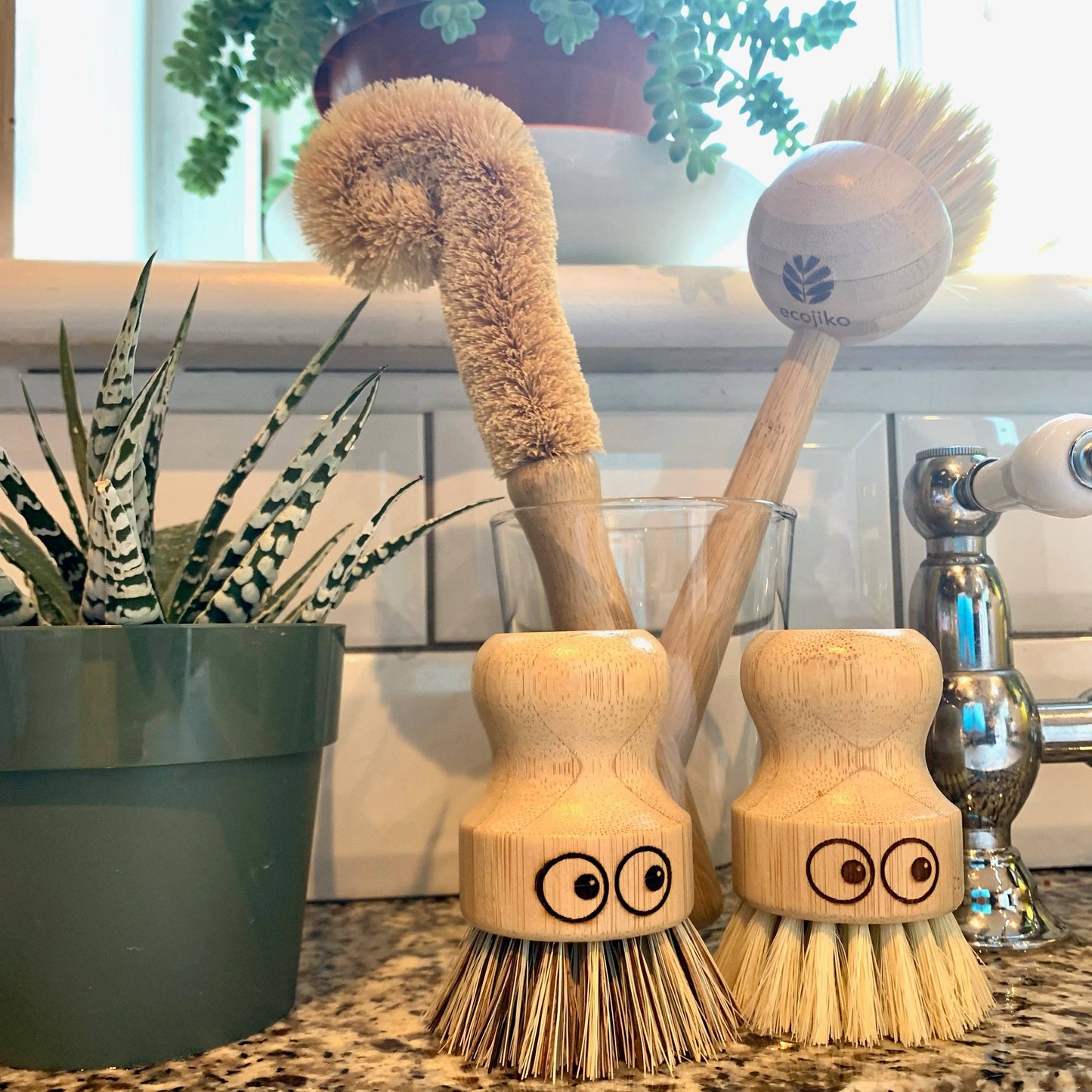 Pot Scrubbing Brushes | Set of 2