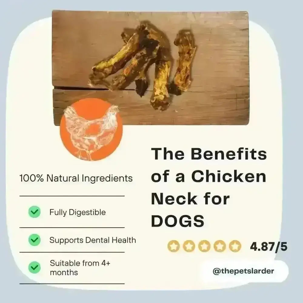 Chicken Neck Natural Meat Chew For Dogs